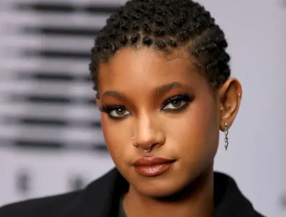 Top 11 Hollywood Stars Attacked by Stalkers: Justin Bieber Was Almost Castrated!