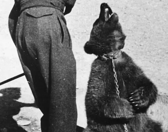 History's Top 10 WTF Moments: The CIA